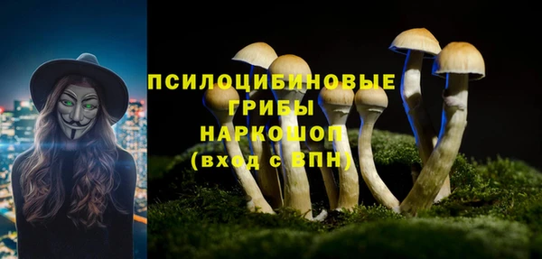 скорость Алзамай