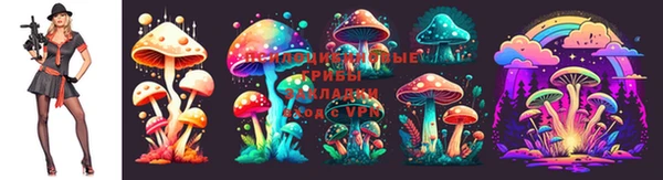 apvp Алексеевка